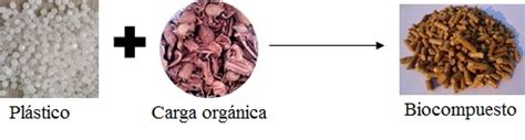 Imágenes de biocompuestos de polipropileno con cáscara de nuez