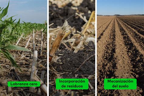 Infografía comparativa de diferentes métodos de preparación del suelo para el cultivo de maíz.