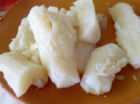 Yuca cocida y machacada, lista para hacer la masa