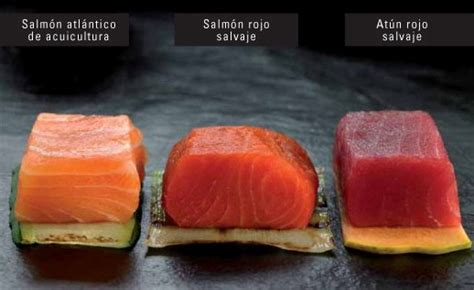 Infografía comparativa: salmón salvaje de Alaska y salmón de piscifactoría (color, textura, hábitat, dieta).