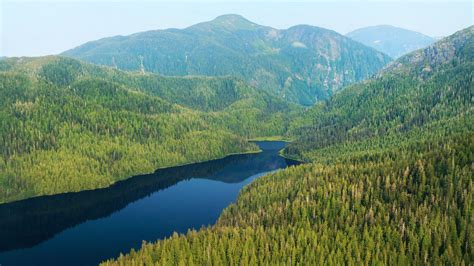 Foto aérea del Bosque Nacional Tongass mostrando la densa vegetación y los fiordos costeros.