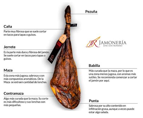 Diagrama mostrando un jamón en jamonero con la grasa de cobertura aplicada
