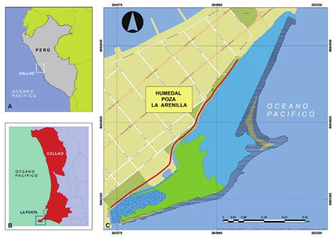 Mapa de ubicación del Humedal del Coto Arrocero en la Región de Murcia