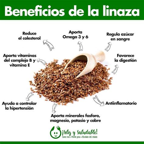 Infografía sobre los beneficios de la linaza