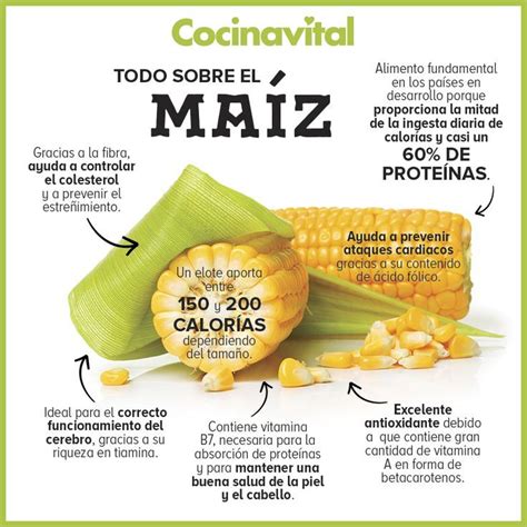infografía sobre los beneficios nutricionales del maíz y sus diferentes nombres