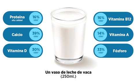 Esquema de los principales nutrientes de la leche (calcio, proteínas, vitaminas)