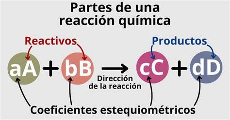 Esquema sobre la reacción química entre las proteínas de la leche y los compuestos fenólicos del café