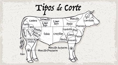Esquema de cortes de vacuno, resaltando la ubicación de la posta rosada