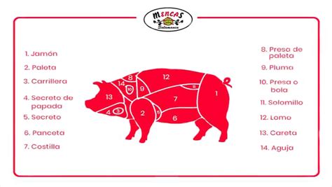 Esquema de los cortes del cerdo para tocino, panceta, jamón y lacón