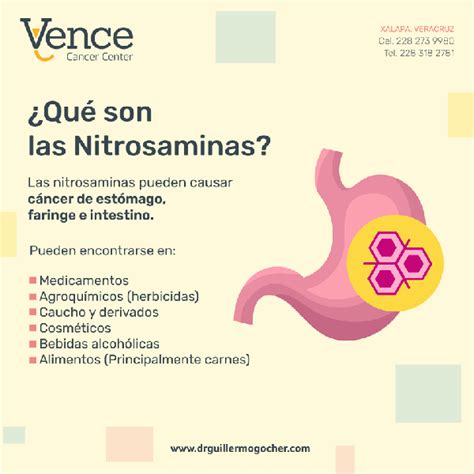 Gráfico informativo sobre la formación de nitrosaminas en el tocino