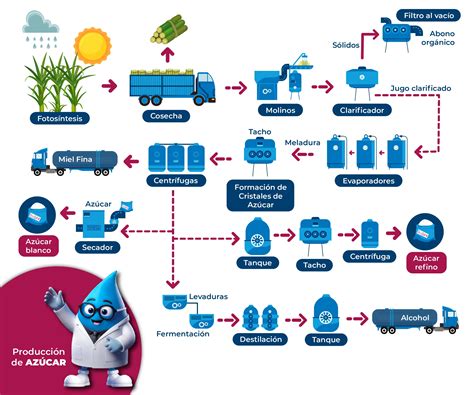 Esquema del proceso de obtención de la maicena a partir del grano de maíz