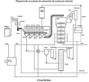 esquema del proceso de extraccion de aceite por vapor y prensado