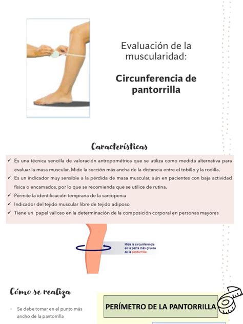 Esquema de las mediciones de pantorrilla para evaluar su volumen.