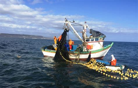 Embarcaciones pesqueras capturando merluza en el Atlántico sur