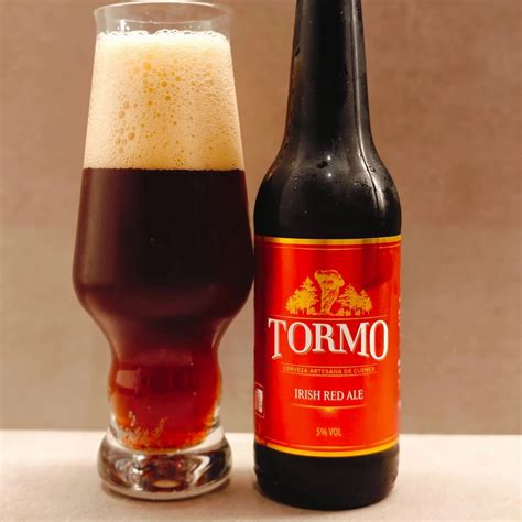 Copa de Irish Red Ale con su característico color rojizo y espuma ligera.