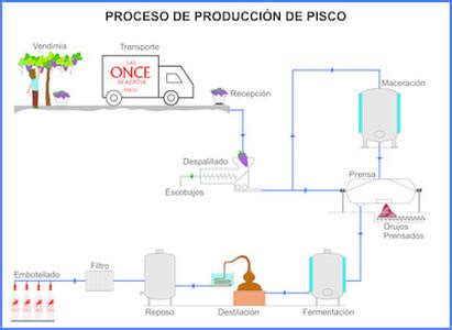 Diagrama del proceso de fermentación y destilación del pisco.