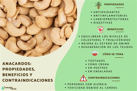 Anacardos en remojo antes de su uso en batidos