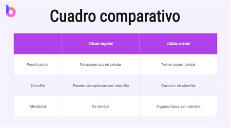 Esquema comparativo de los diferentes tipos de berenjenas según su forma y peso promedio