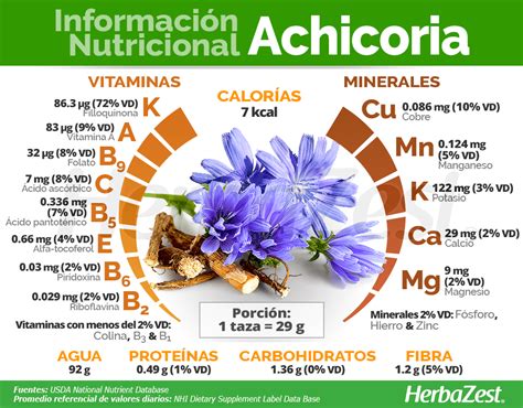 Infografía detallada sobre los nutrientes y beneficios para la salud de la achicoria