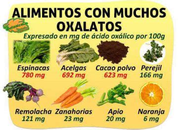 Infografía sobre los oxalatos en alimentos y su efecto en la absorción de minerales