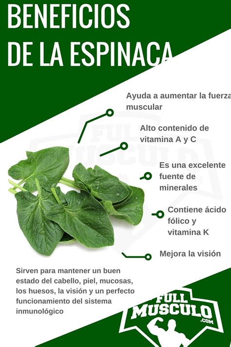 Infografía detallada sobre los nutrientes principales de la espinaca y sus beneficios para la salud.