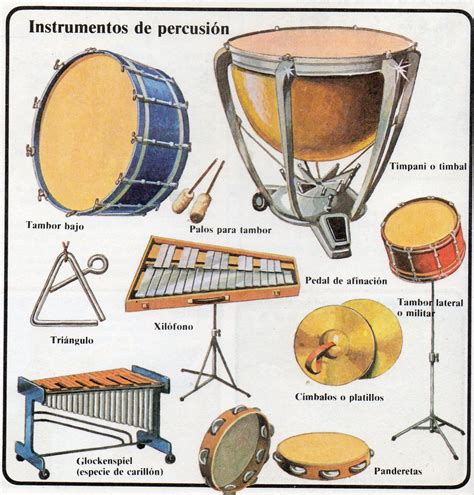 Fotografía de una sección de percusión de una orquesta de salsa con timbales, congas, bongós y cencerro.
