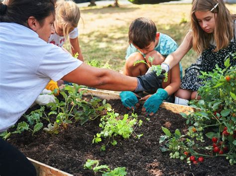 Niños en una huerta descubriendo verduras