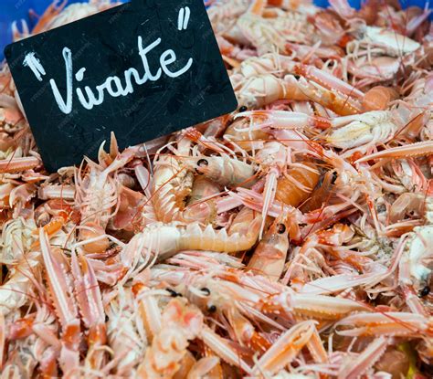 Variedad de mariscos frescos exhibidos en un mercado local