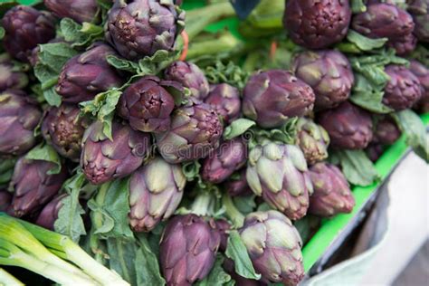 Alcachofas frescas en el campo o en el mercado