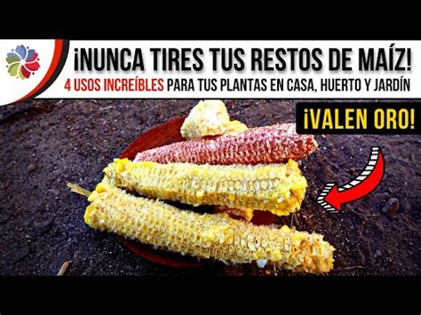 Imagen comparativa de la quema de coronta de maíz versus carbón tradicional, mostrando diferencias en humo y ceniza.