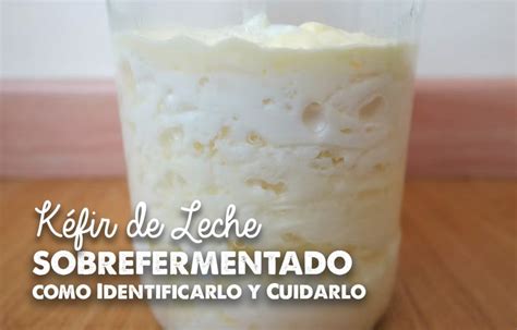 Infografía ilustrando la separación de sólidos y líquidos en el kéfir de leche refrigerado.