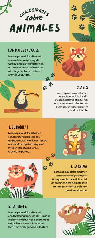 Infografía con los principales animales amigos de Sofía