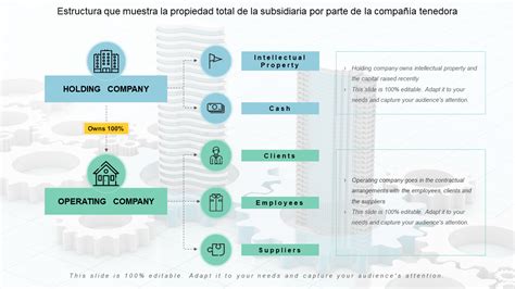 Diagrama de la estructura de propiedad de Salmones Austral post-fusión