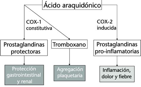 Esquema de las vías metabólicas del ácido araquidónico y su relación con la dieta