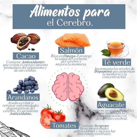 Infografía sobre los nutrientes clave para el cerebro y sus fuentes dietéticas