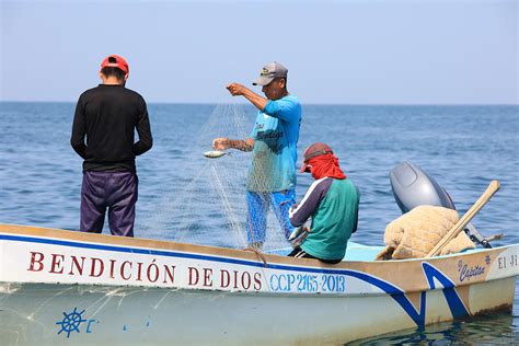 Pescadores artesanales en su faena diaria, mostrando la diversidad de roles en esta actividad