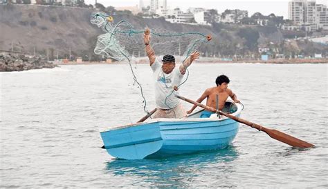 Foto: Pescadores artesanales descargando su captura en una caleta