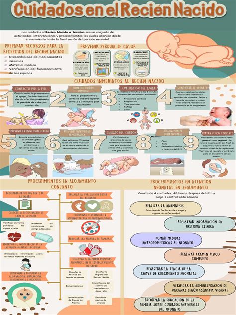 Infografía sobre los cuidados estacionales del membrillero, incluyendo necesidades de riego, abonado y principales plagas.