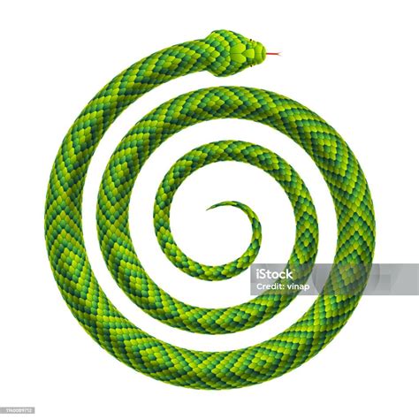 Ilustración de una serpiente enrollada, evocando misterio y poder ancestral.