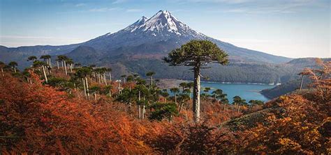 Paisaje del sur de Chile con productos marinos