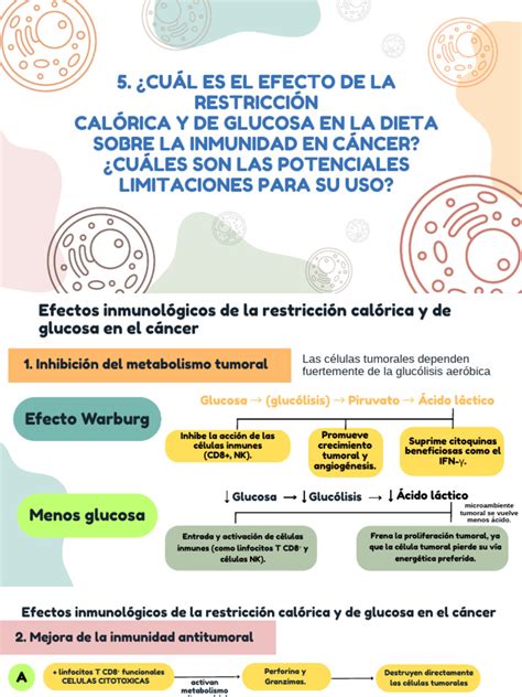 Esquema visual del funcionamiento de la dieta HCG y su restricción calórica
