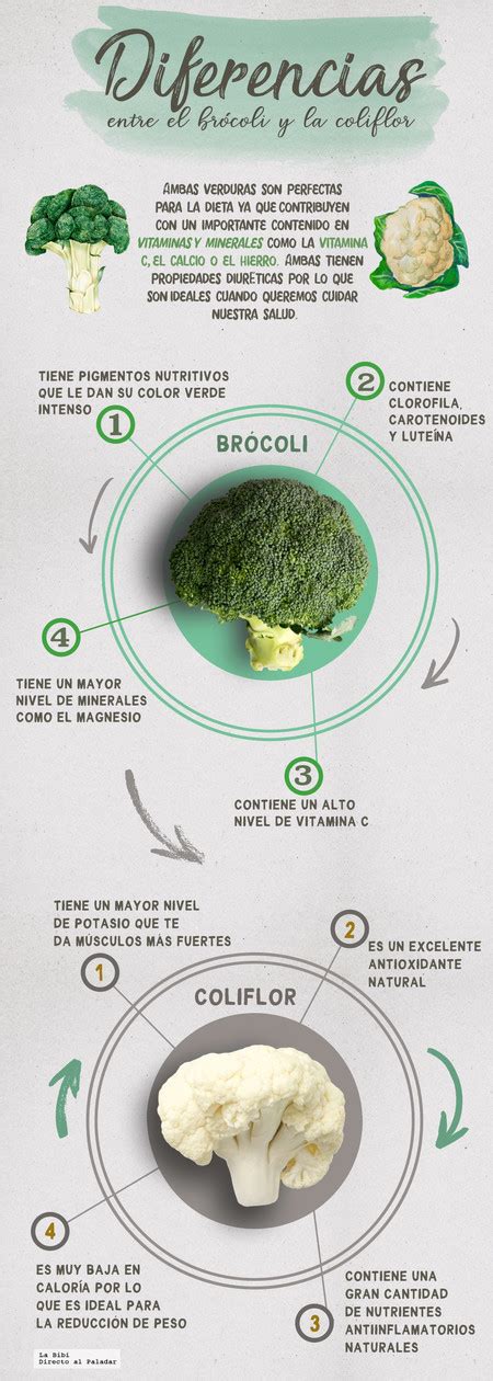 Infografía comparativa de brócoli y coliflor, destacando sus diferencias morfológicas.