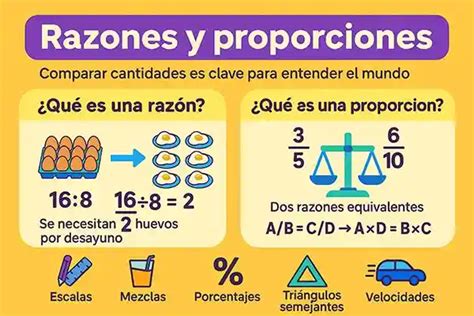infografía sobre las proporciones de la vinagreta