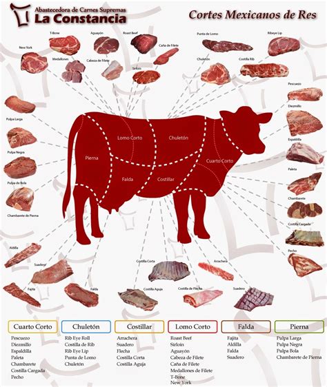 Esquema de los cortes de carne de res ideales para estofados: la importancia de las zonas ricas en colágeno como la pierna o el morcillo.