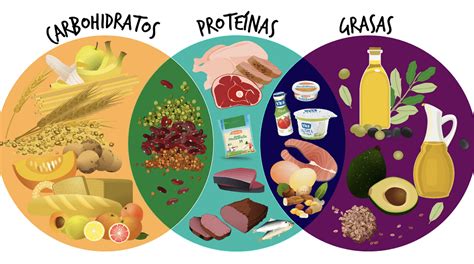 Esquema de los grupos de macronutrientes esenciales (proteínas, grasas saludables y carbohidratos complejos) para el paciente oncológico.