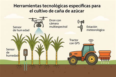 Esquema de las tecnologías de agricultura de precisión aplicadas al cultivo de maíz