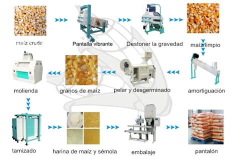 Esquema sobre la producción de harina de arroz a partir de granos de arroz
