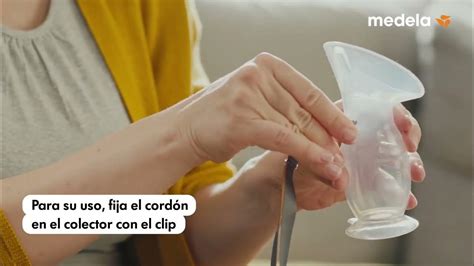 Esquema anatómico mostrando la colocación de un recolector de silicona sobre el pecho para captar el goteo durante la lactancia