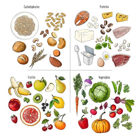 Esquema de la dieta romana: alimentos básicos como cereales y legumbres para el pueblo, y carnes y lujos para la élite
