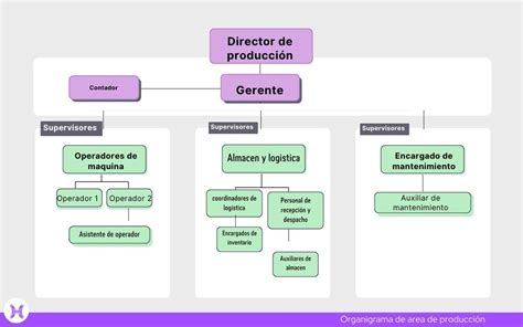 Esquema de las fases de producción de pasta tradicional
